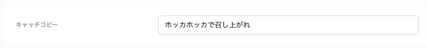 キャッチコピーの設定